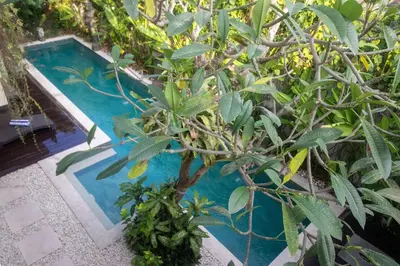 a swimming pool with a tree in front of it at Villa Tepi Sungai - 6BR Luxury Private Pool Villa - Seminyak Sleeps 14 in Legian