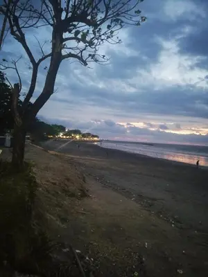 a beach with a tree and people walking on it at Lavanda guesthouse/homestay in Jimbaran