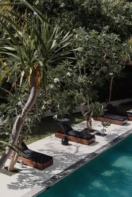 a group of chairs and trees next to a pool at Villa Amara Pradi - 550m to Petitenget Beach in Seminyak