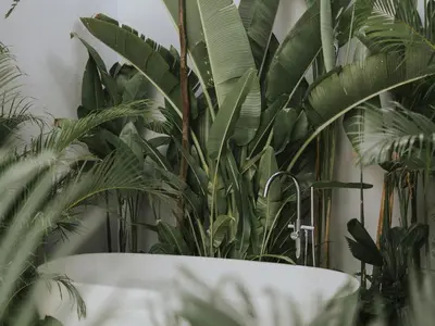 a bathroom with green plants and a bath tub at Designer 3BR Villa Tropical Stay Near Canggu in Kerobokan