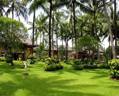 a green yard with palm trees and a house at Club Bali Suite Legian in Legian