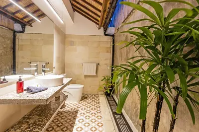 a bathroom with a sink and a toilet and a plant at Baliani Beauty in Seminyak